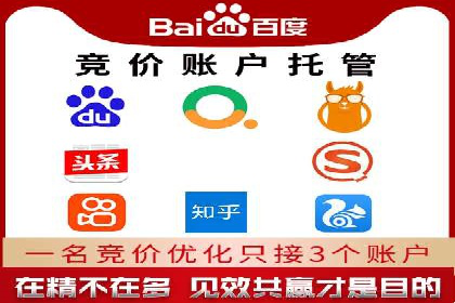 SEM服务托管：经典案例分析及优化策略